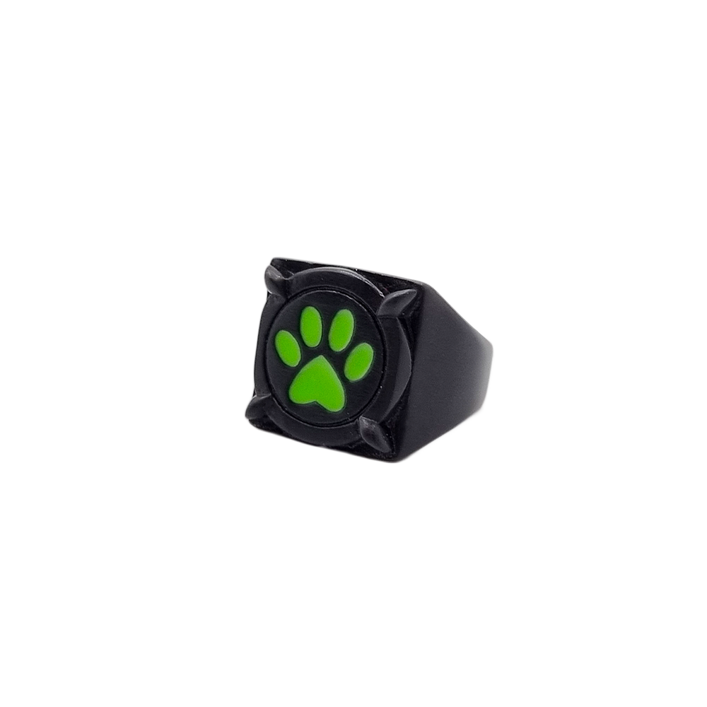 <tc>Miraculous du Chat - Bague de Chat Noir</tc>