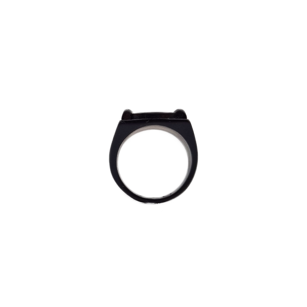 <tc>Miraculous du Chat - Bague de Chat Noir</tc>