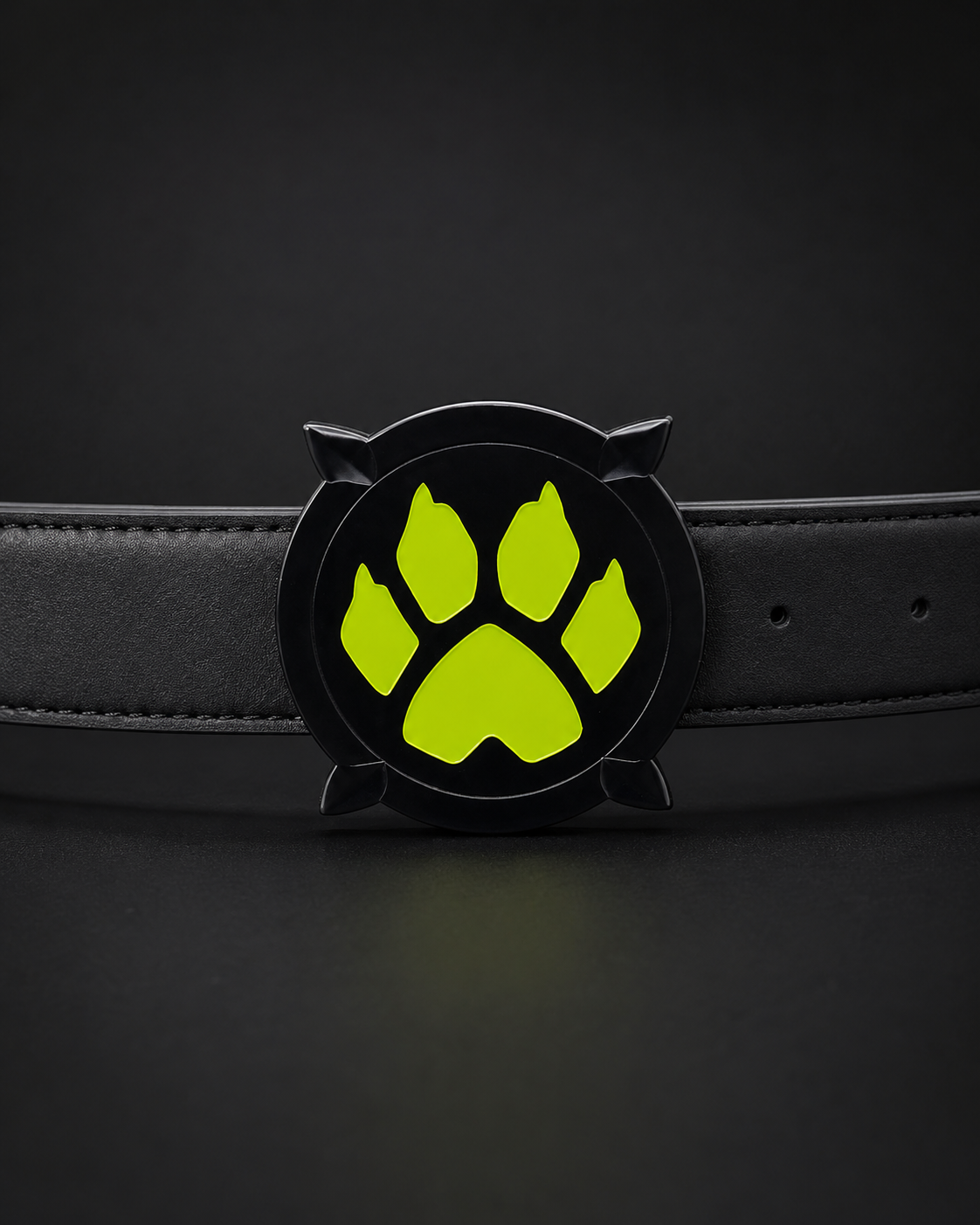 Belt buckles Miraculous Ladybug and Cat Noir