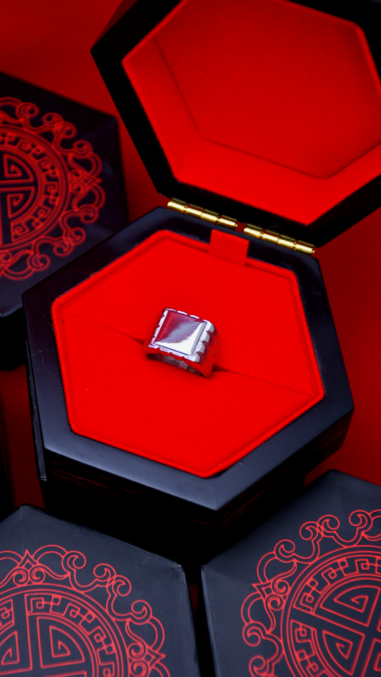 Bague sigillaire de Miraculous Felix