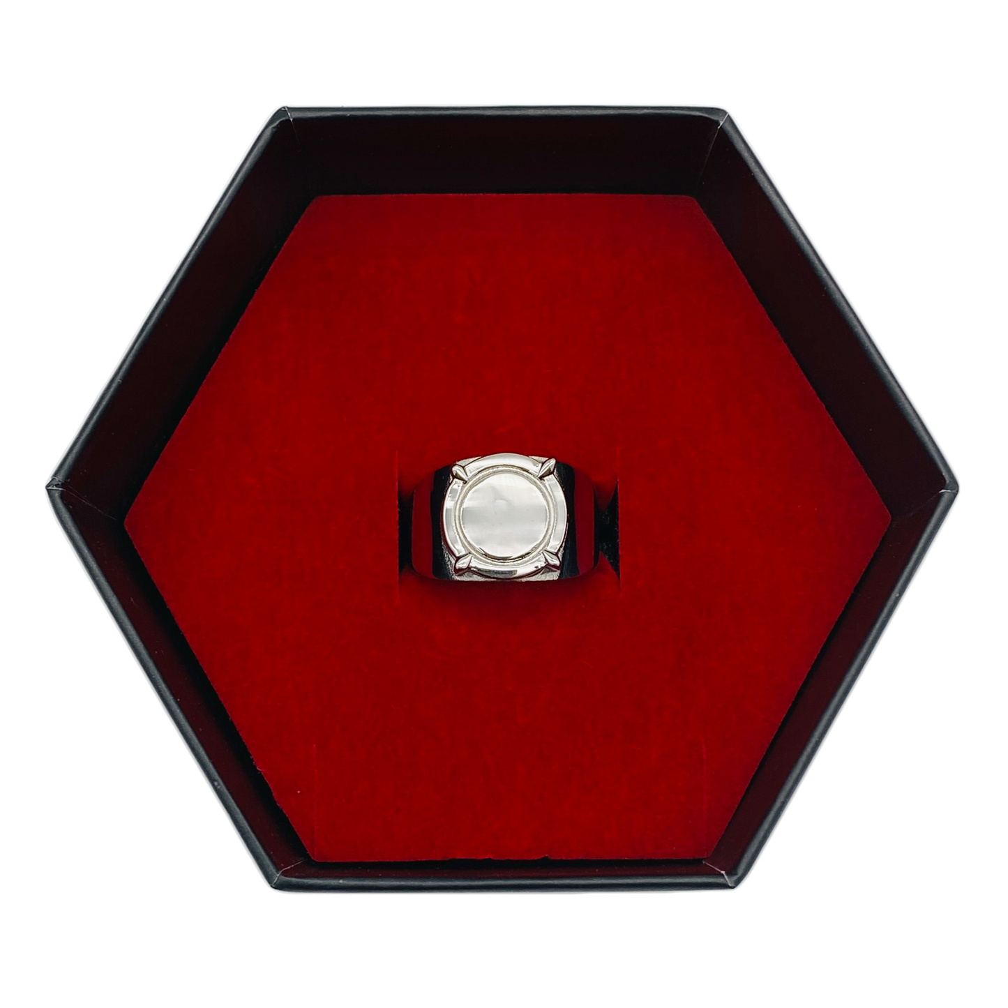 Miraculous Adrien's Ring