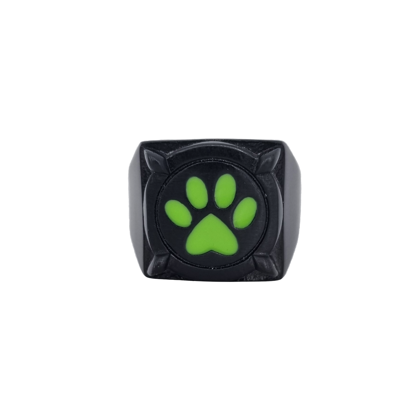 <tc>Miraculous du Chat - Bague de Chat Noir</tc>