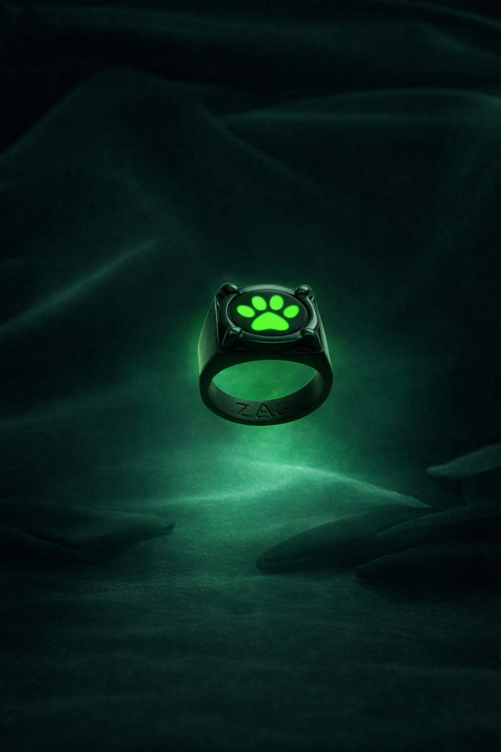 Bague Chat Noir Miraculous