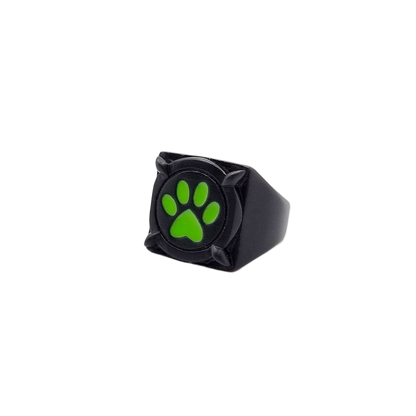 Miraculous Cat Noir Ring