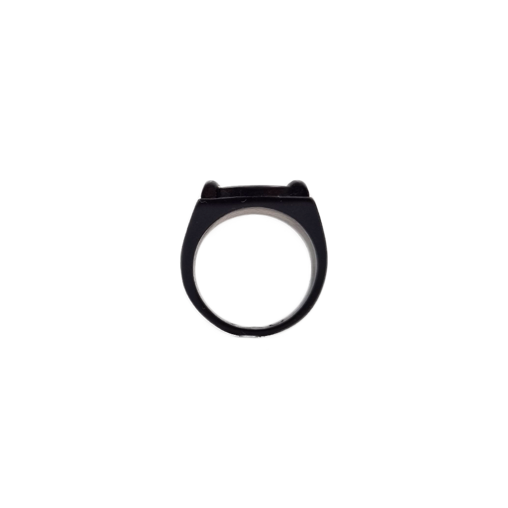 Miraculous Cat Noir Ring