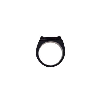 Miraculous Cat Noir Ring