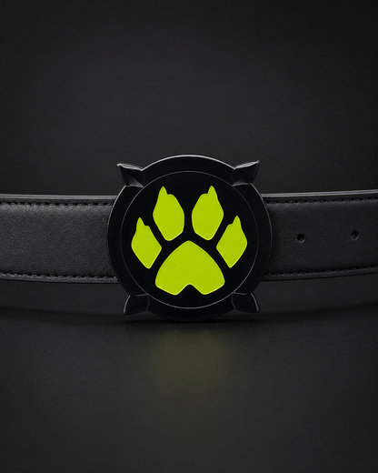 Belt buckles Miraculous Ladybug and Cat Noir