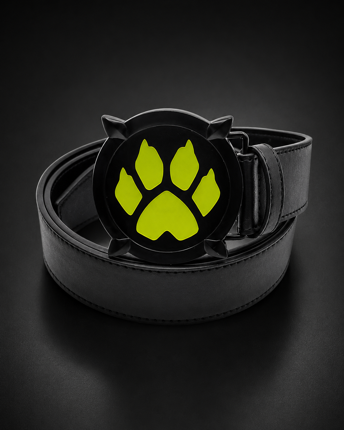 Belt buckles Miraculous Ladybug and Cat Noir