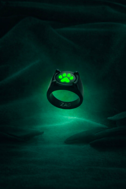 Nouvelle bague Chat Noir - Édition Saison 6