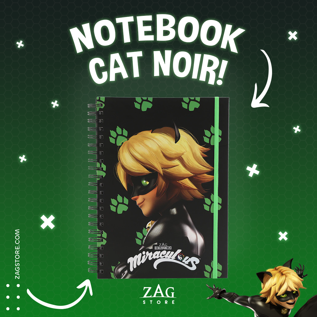 <tc>Carnet Super Héros Chat Noir</tc>