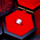 Miraculous Adrien's Ring