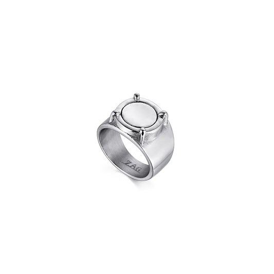 Miraculous Adrien's Ring
