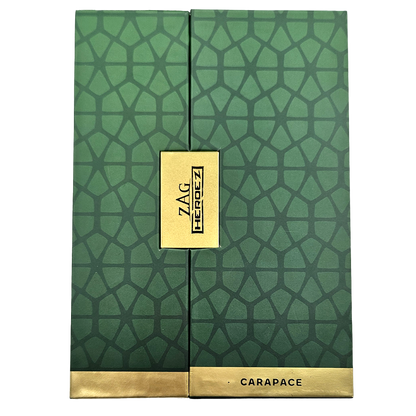 Art Figure Chibi Carapace