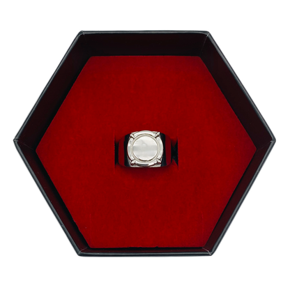 Miraculous Adrien's Ring