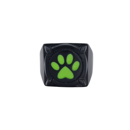 Miraculous Cat Noir Ring