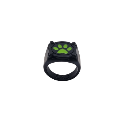 Miraculous Cat Noir Ring