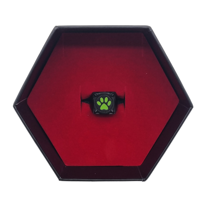 Miraculous Cat Noir Ring