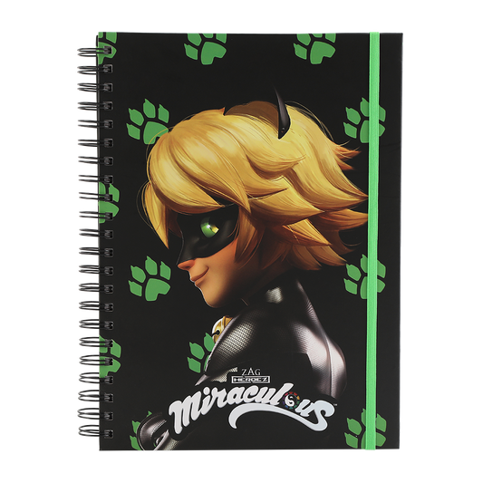 Super Heroes Notebook Cat Noir